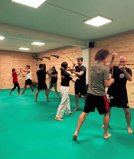 Entrenamiento con bastones defensa pesonal Barcelona