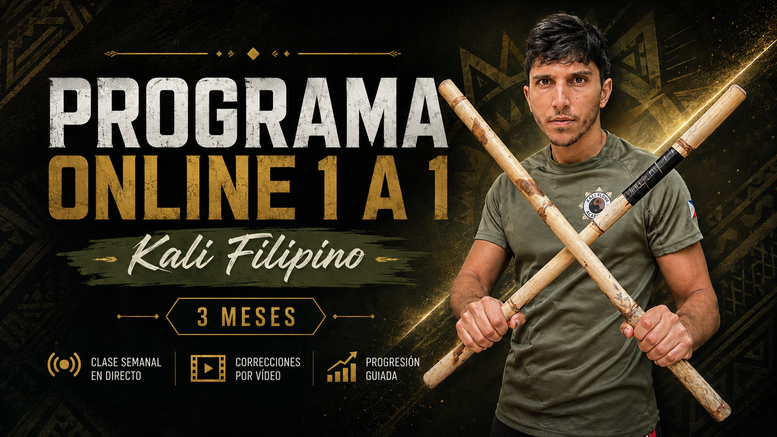 Protegido: Programa Online 1 a 1 de Kali Filipino